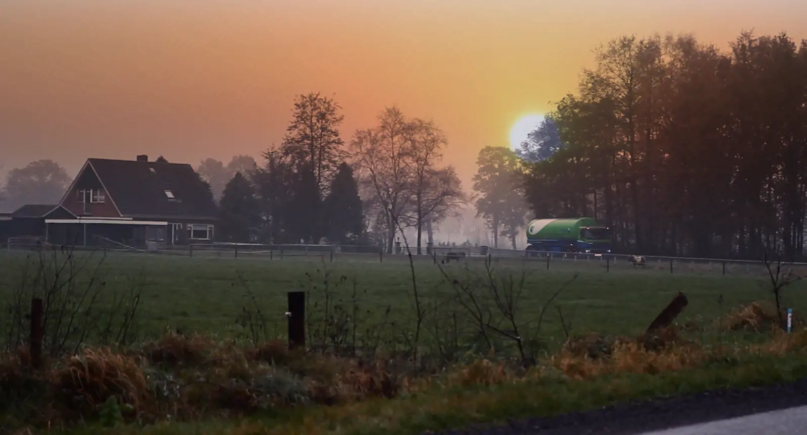 a car is moving in a animal nutrition video for motivational purpose.